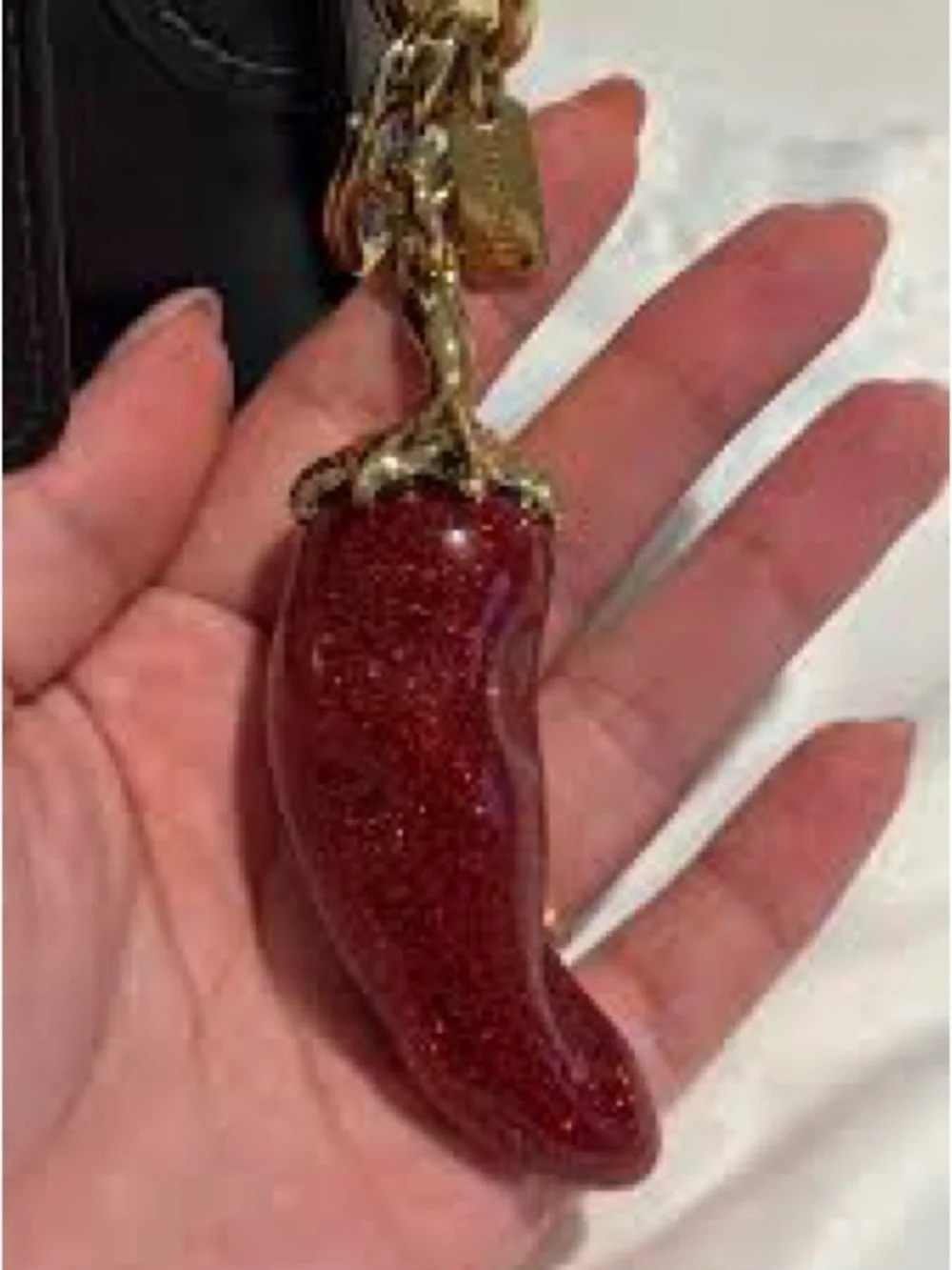 Coach key charm